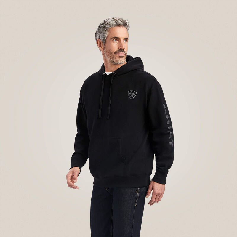 Bluza męska Ariat Logo Hoodie