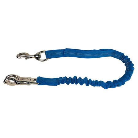 Uwiąz York Strechy- różne kolory