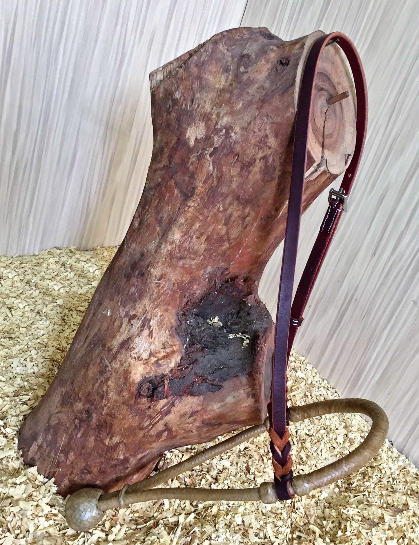 Bosal z paskiem w zestawie