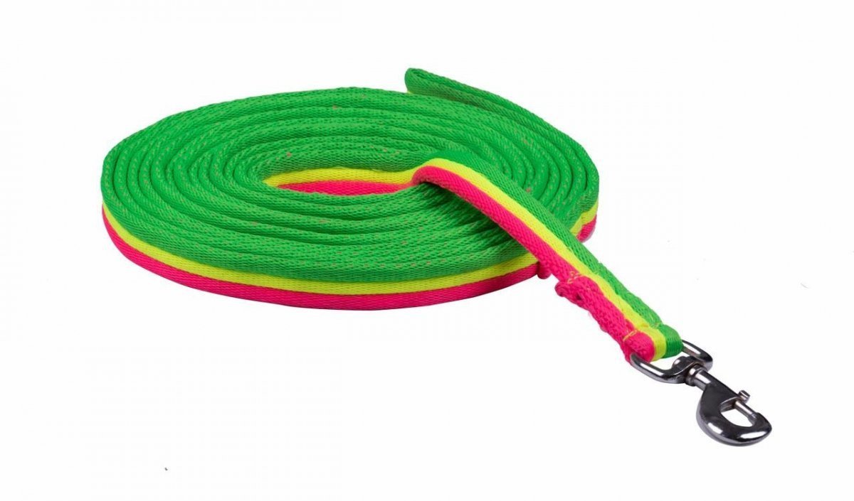 Lonża API 3 kolorowa