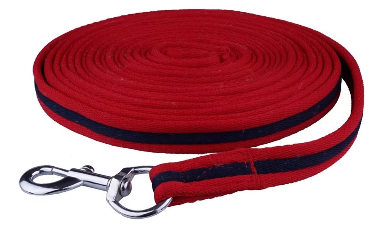 API lanyard v červené a tmavě modré tašce