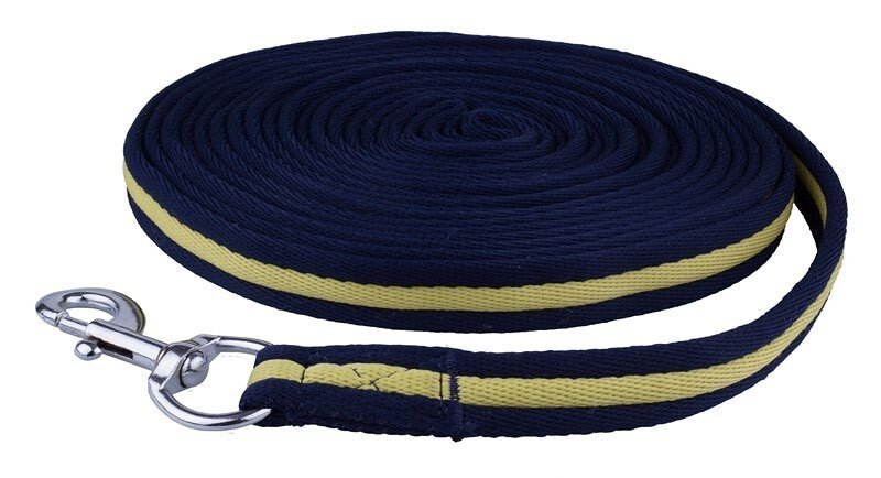 API lanyard v tmavě modré a limetkové tašce