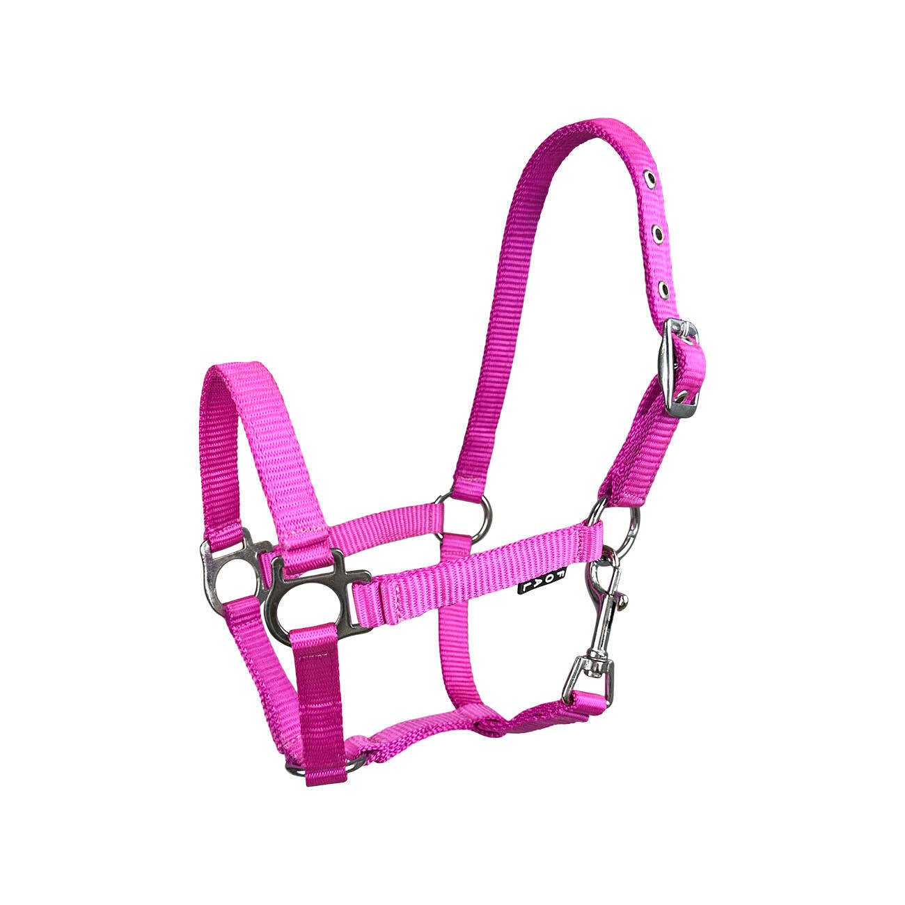 Kantar York źrebięcy Milo - różne kolory