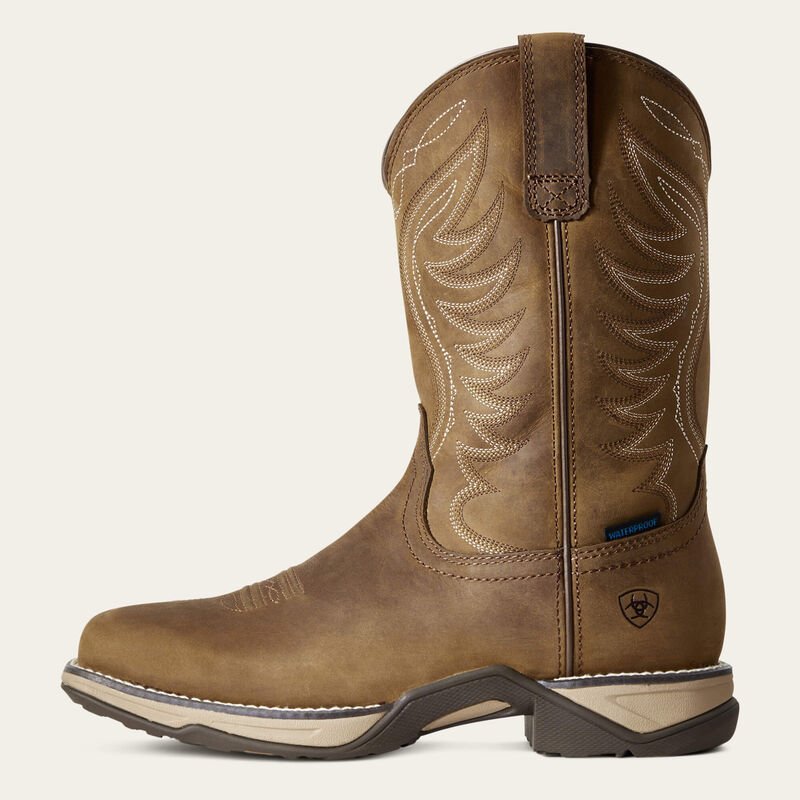Kowbojki damskie Ariat Anthem H2O
