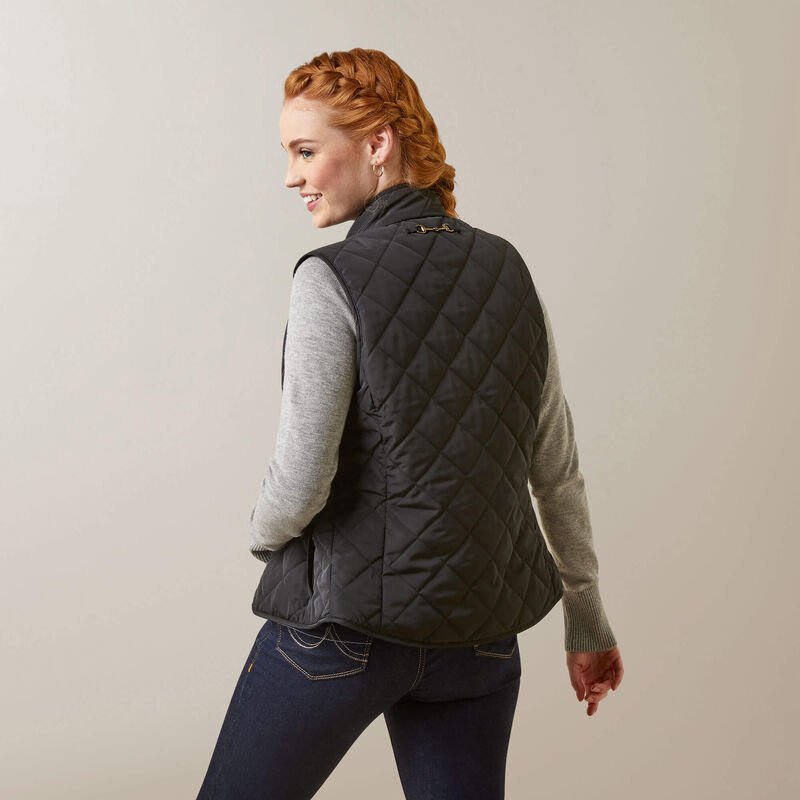 Arktická vesta Carhartt