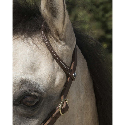 Ogłowie skórzane OREILLE na jedno ucho różne odcienie