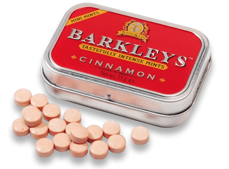 MINI Pastylki BARKLEYS- cinnamon