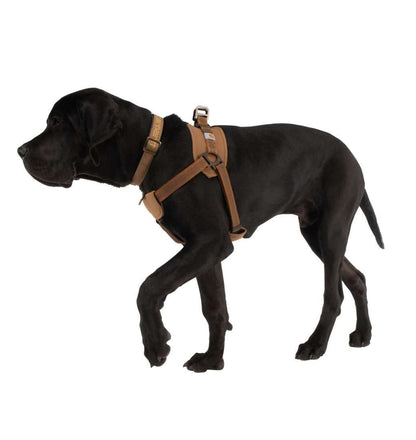 Szelki Treningowe Dla Psa Carhartt Training Harness